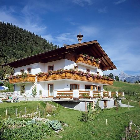 Ferienhaus Rosi Sankt Martin am Tennengebirge Zewnętrze zdjęcie