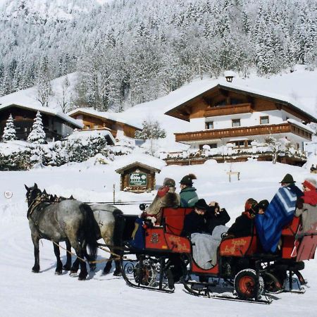 Apartament Ferienhaus Rosi Sankt Martin am Tennengebirge Zewnętrze zdjęcie